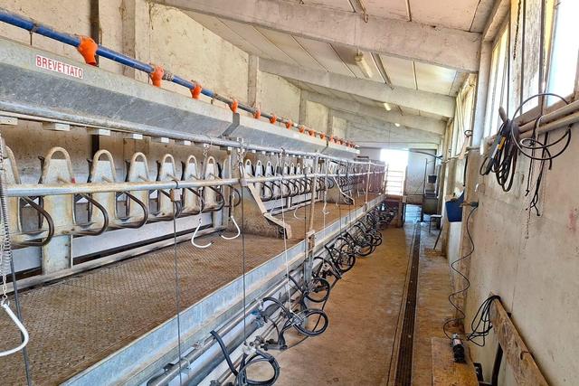 #25239 Stalla con rudere e terreni agricoli sparsi in vendita - foto 2