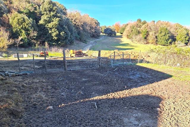 Agricoli in vendita