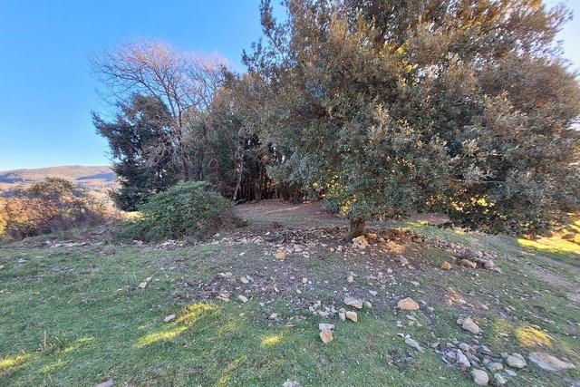 #25239 Stalla con rudere e terreni agricoli sparsi in vendita - foto 5