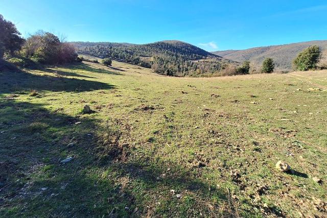Agricoli in vendita