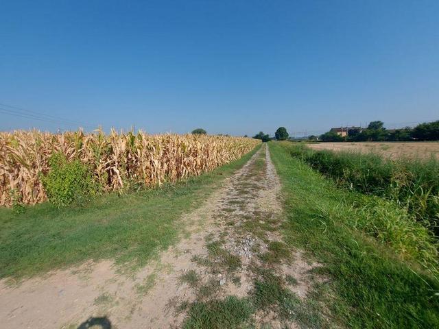 #21708 Complesso di aree agricole/edificabili in vendita - foto 2