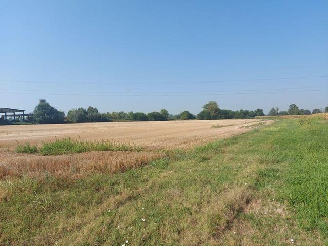 #21708 Complesso di aree agricole/edificabili in vendita - foto 3