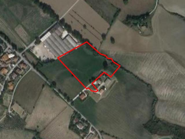 Agricoli in vendita