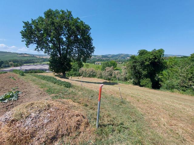Agricoli in vendita