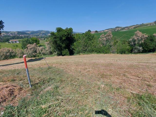 Agricoli in vendita
