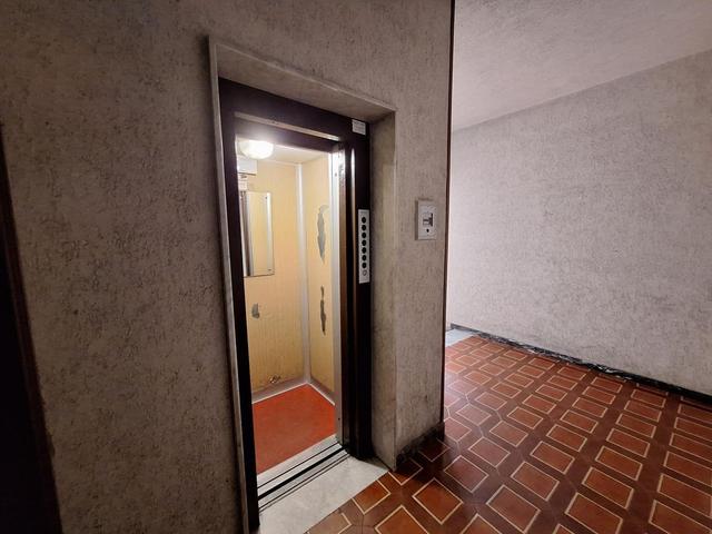 photogallery 3