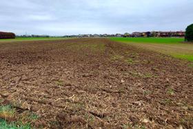 Agricoli in vendita
