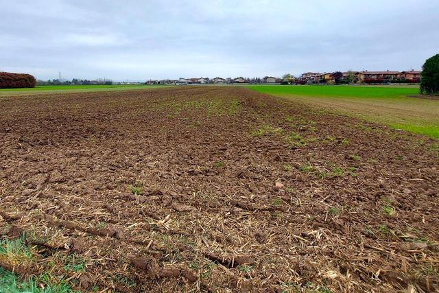 Agricoli in vendita