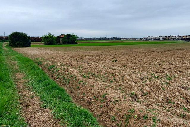 Agricoli in vendita