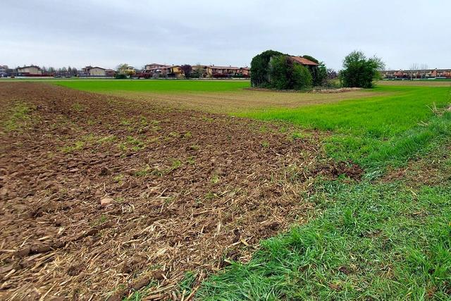 Agricoli in vendita