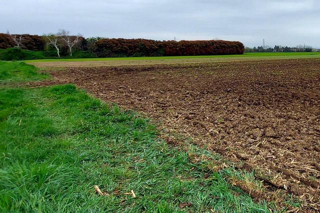 Agricoli in vendita