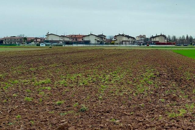 Agricoli in vendita