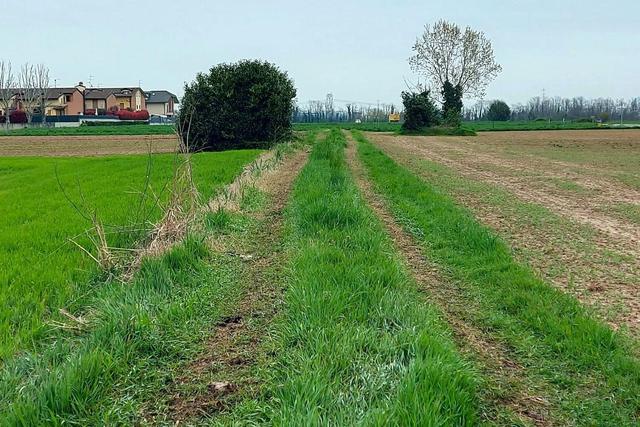 Agricoli in vendita