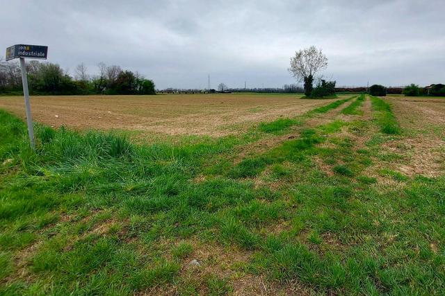Agricoli in vendita