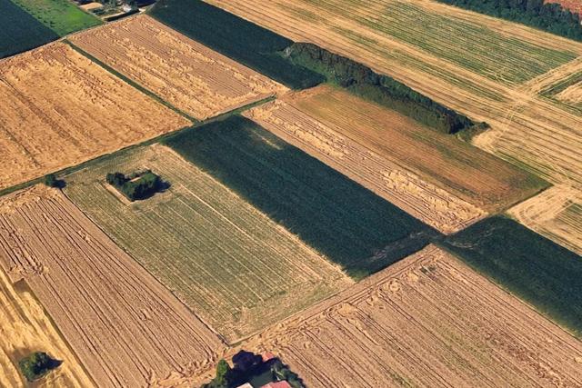 Agricoli in vendita