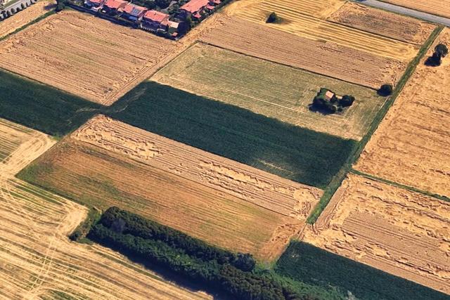 Agricoli in vendita