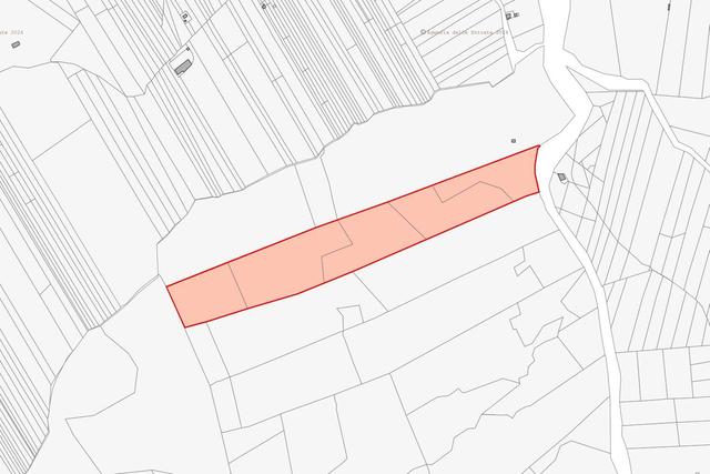 estratto-di-mappa