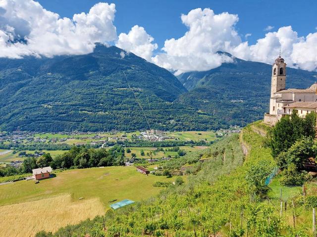 Appartamenti in vendita
