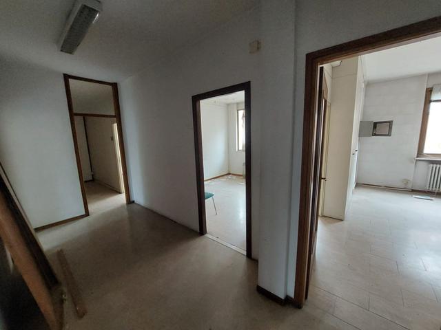 Grandi dimensioni in vendita