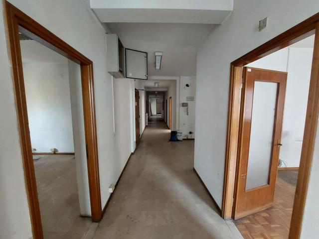 Grandi dimensioni in vendita