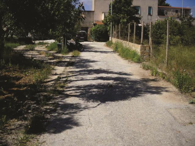 Agricoli in vendita