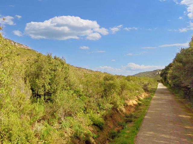 Agricoli in vendita