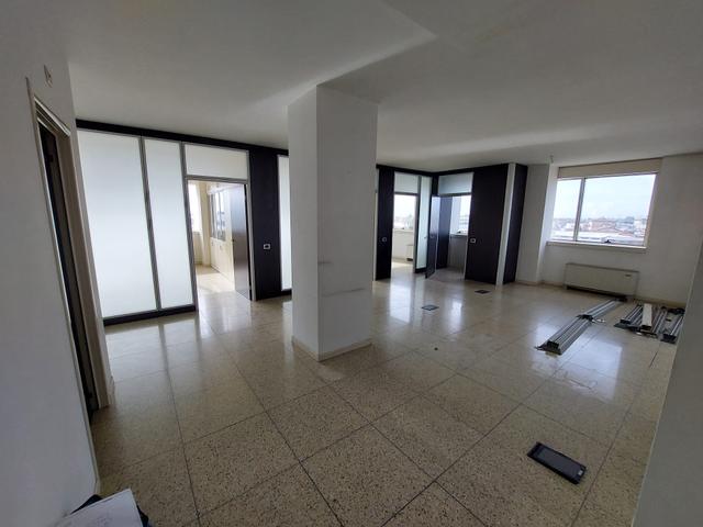 Grandi dimensioni in vendita