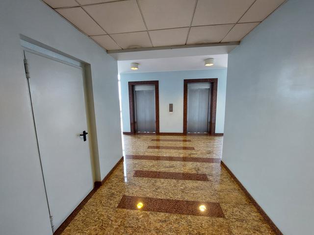 Grandi dimensioni in vendita