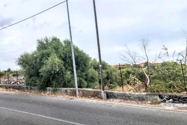 Agricoli in vendita