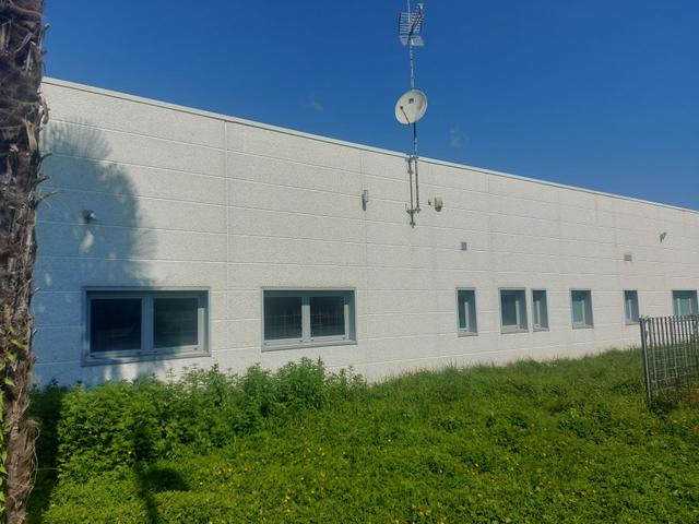 Palestre in vendita