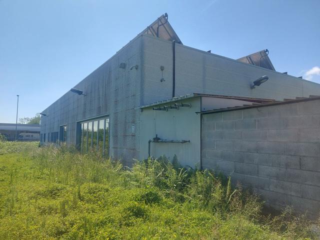 Palestre in vendita