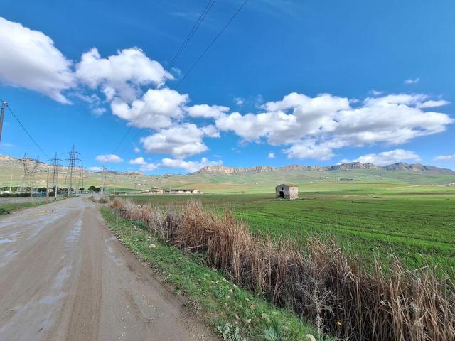 Agricoli in vendita