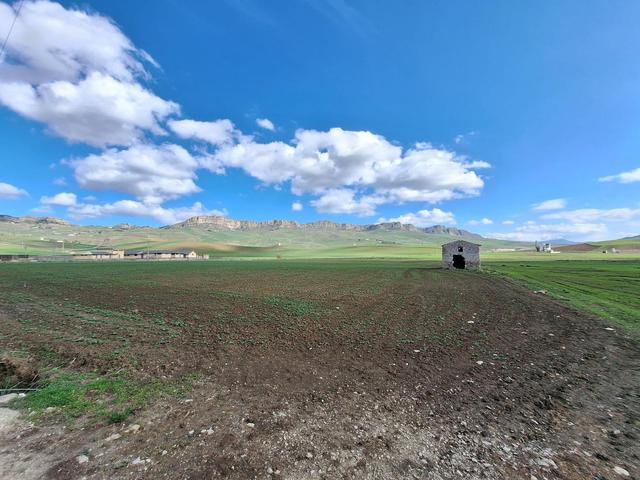 Agricoli in vendita