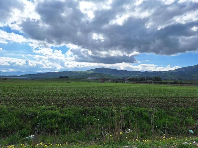 Agricoli in vendita