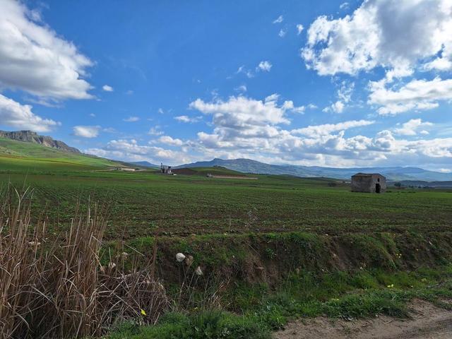Agricoli in vendita