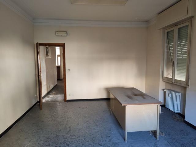 Grandi dimensioni in vendita