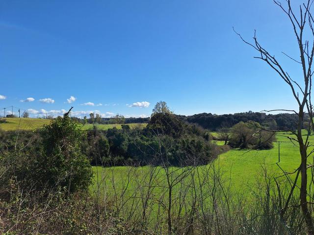 Agricoli in vendita