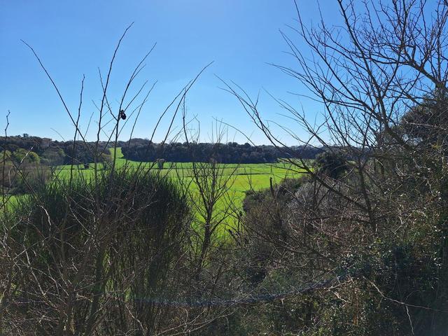 Agricoli in vendita