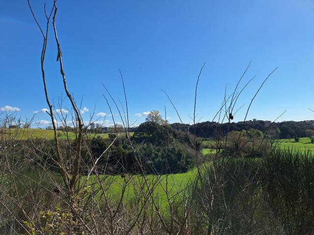 Agricoli in vendita