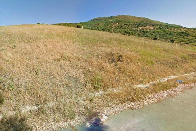 Agricoli in vendita