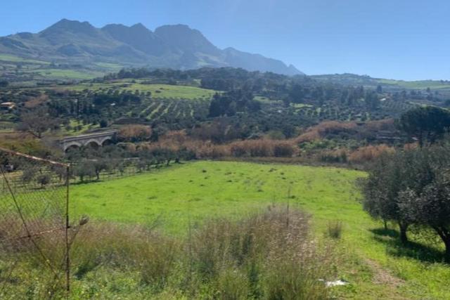 Agricoli in vendita