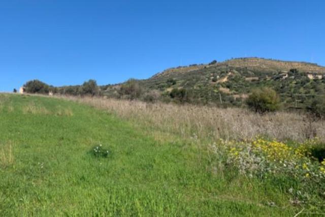 Agricoli in vendita