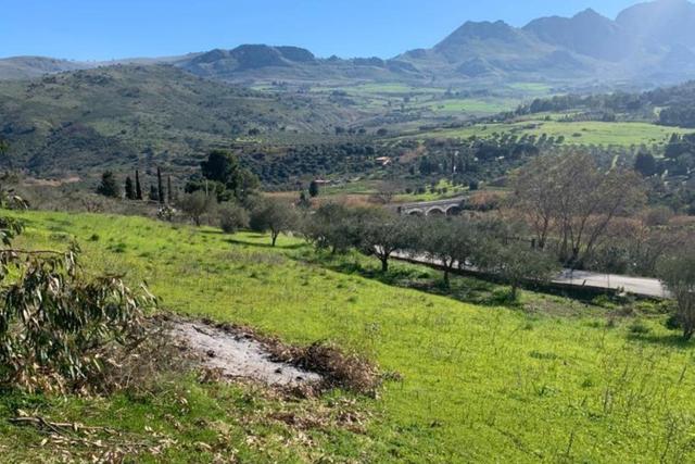 Agricoli in vendita