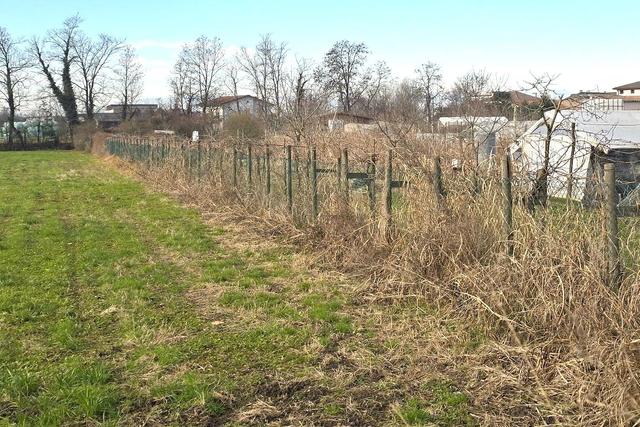 #25332 Appezzamento agricolo in area tutelata in vendita - foto 10