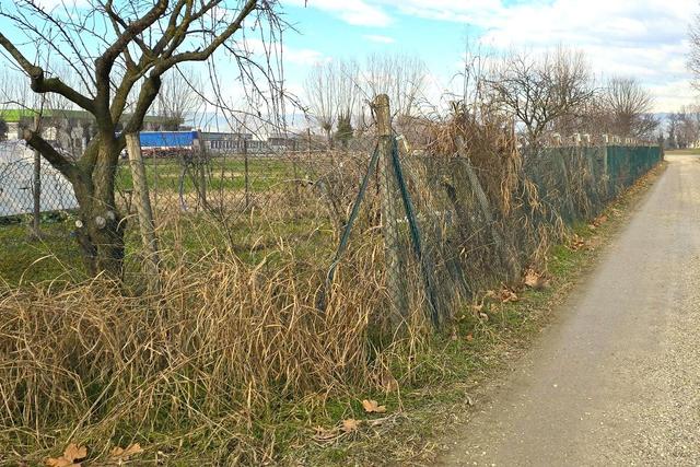 #25332 Appezzamento agricolo in area tutelata in vendita - foto 11