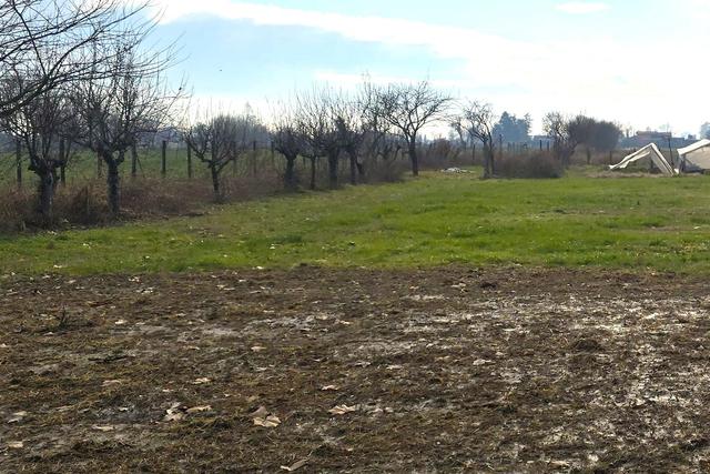 #25332 Appezzamento agricolo in area tutelata in vendita - foto 2