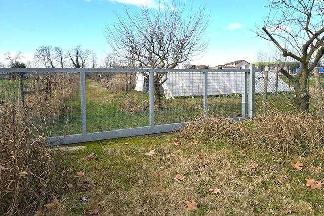 #25332 Appezzamento agricolo in area tutelata in vendita - foto 6