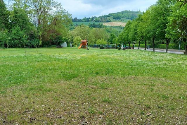 #20704 Terreno per edilizia residenziale convenzionata in vendita - foto 8