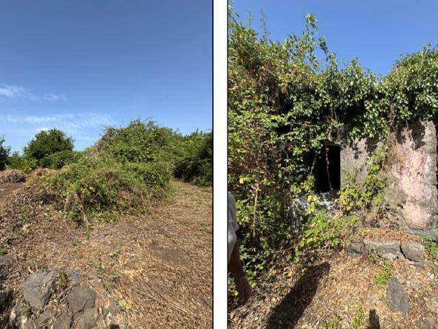 Edificabili in vendita