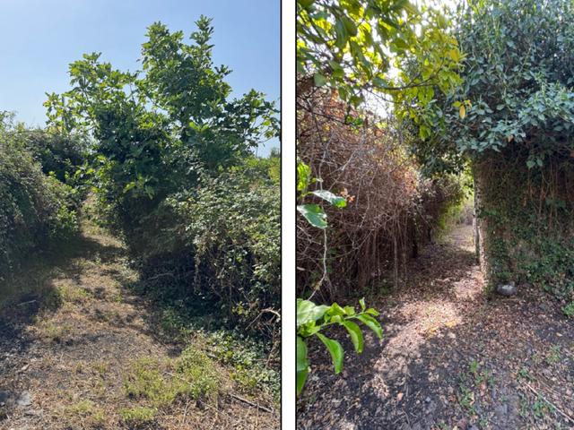 Edificabili in vendita